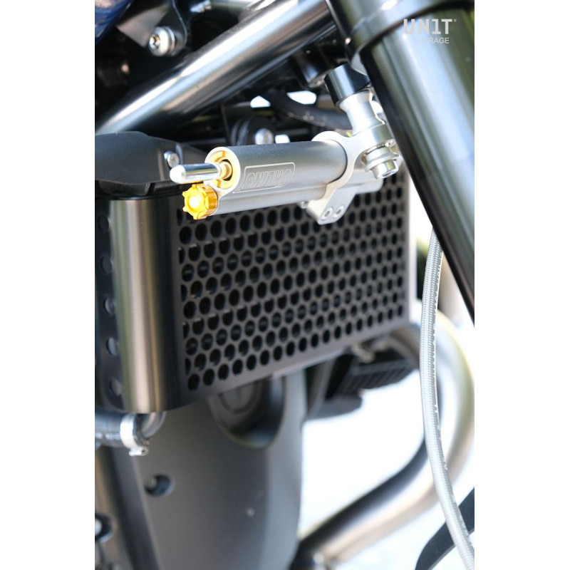 Radiator grille for the R nineT – L'atelier Bleu Motostore