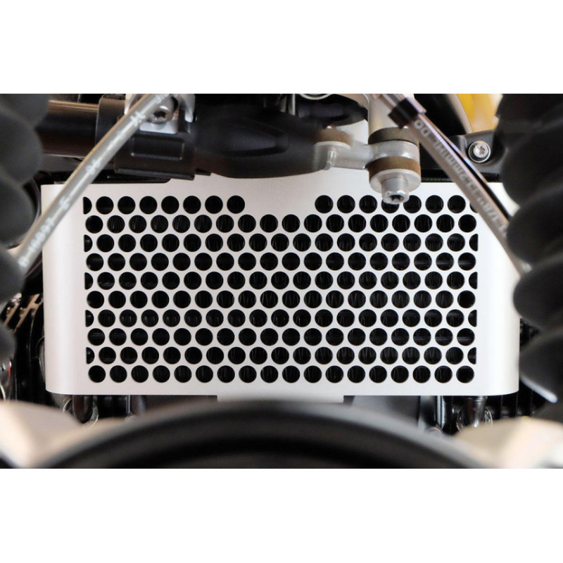  Grille de radiateur pour R nineT - L'atelier Bleu Motostore