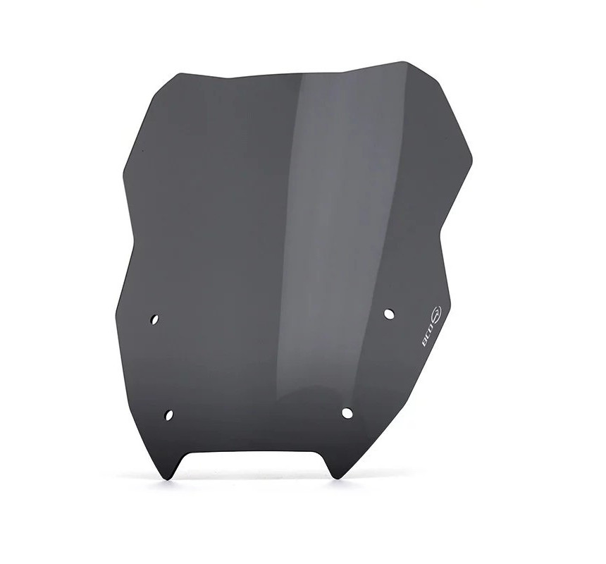 Saute-vent pour R 1300 GS & GSA