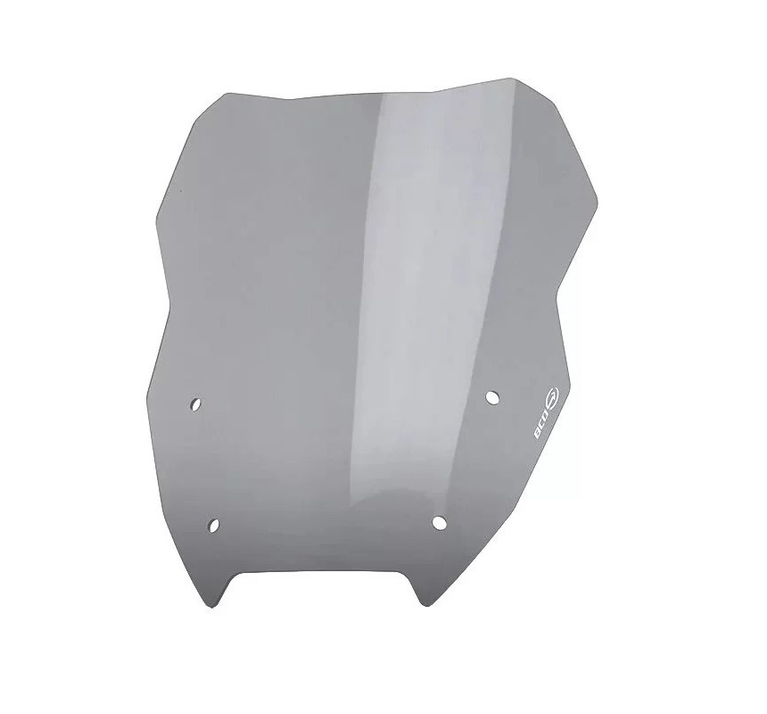 Saute-vent pour R 1300 GS & GSA