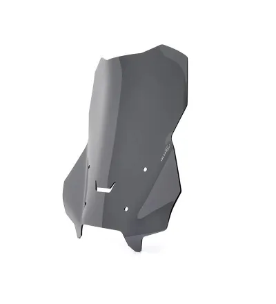 Saute-vent GT pour R 1300 GS & GSA