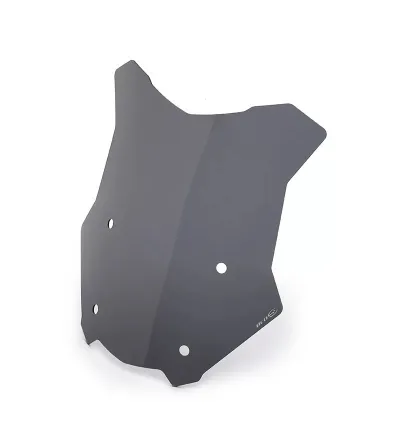 Saute-vent pour R 1200GS/GSA & R 1250GS/GSA