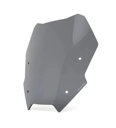 Saute-vent pour R 1300 RS
