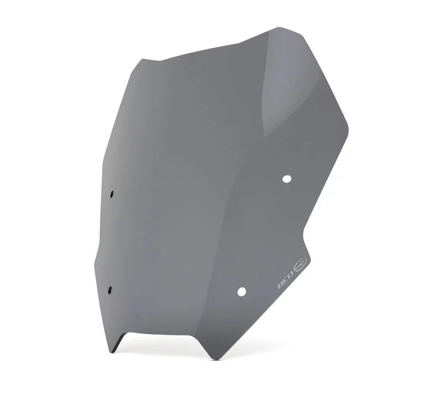Saute-vent pour R 1300 RS
