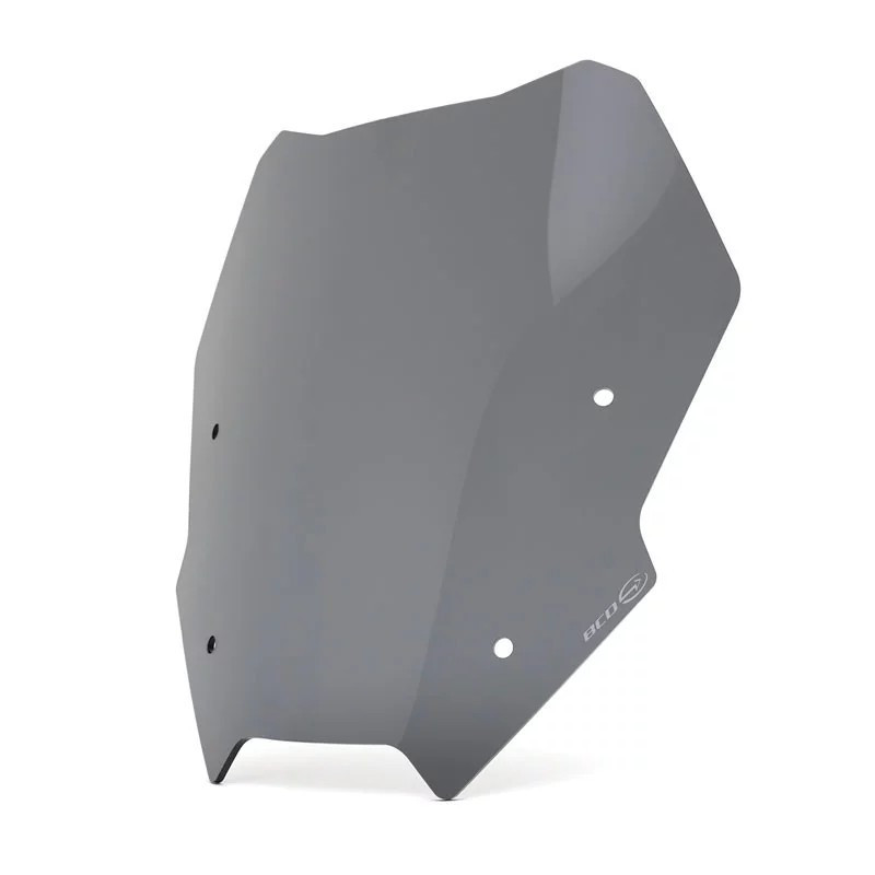Saute-vent pour R 1300 RS