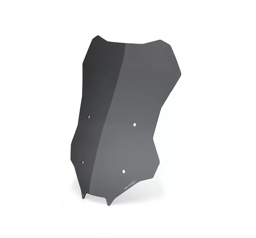 Saute-vent GT pour F 900 XR