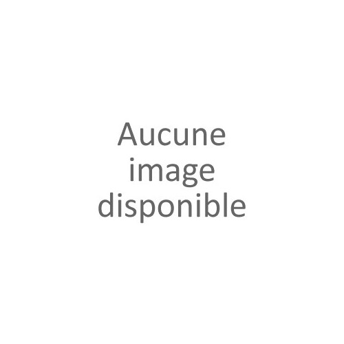 Flanc de réservoir gauche carbone pour R 1300 RS